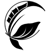 Главная