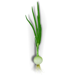 лук